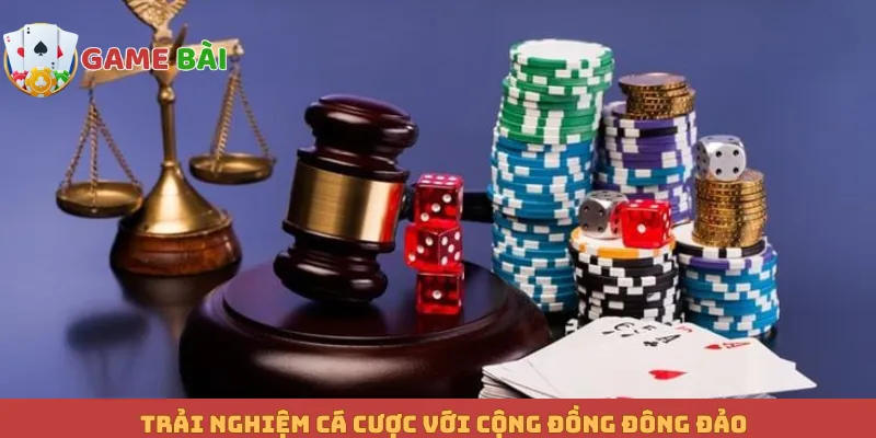 Trải nghiệm cá cược với cộng đồng đông đảo