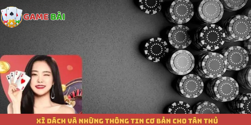 Xì Dách và những thông tin cơ bản cho tân thủ